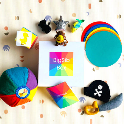 BigSib Box (LARGE)