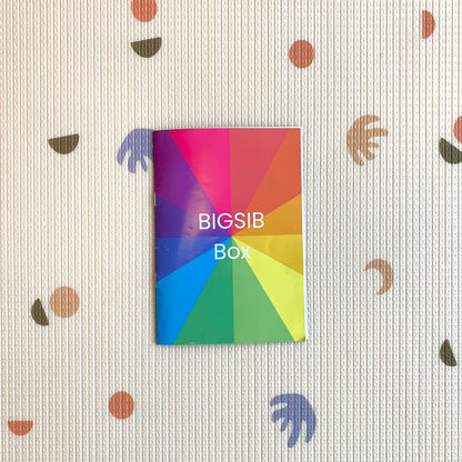 BigSib Box (LARGE)