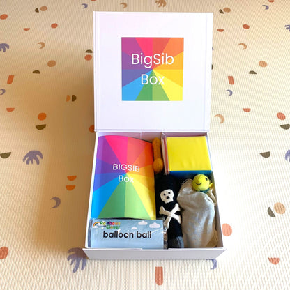 BigSib Box (LARGE)