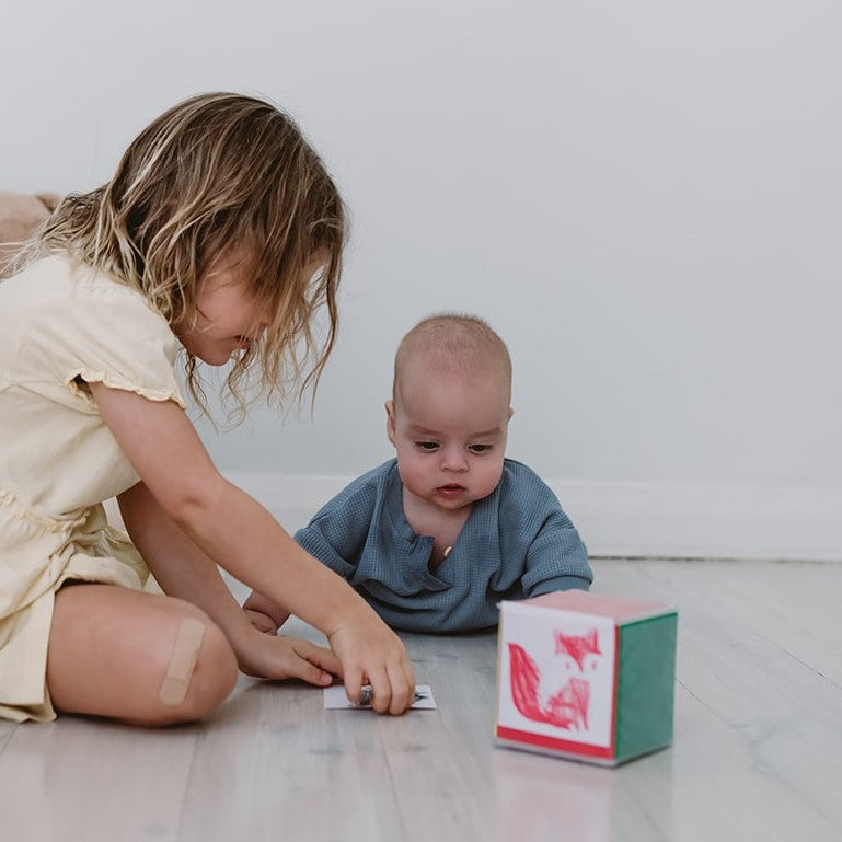 Sibling Bond through play