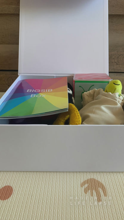 BigSib Box (LARGE)